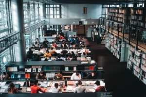 David Sainsbury Scholarship